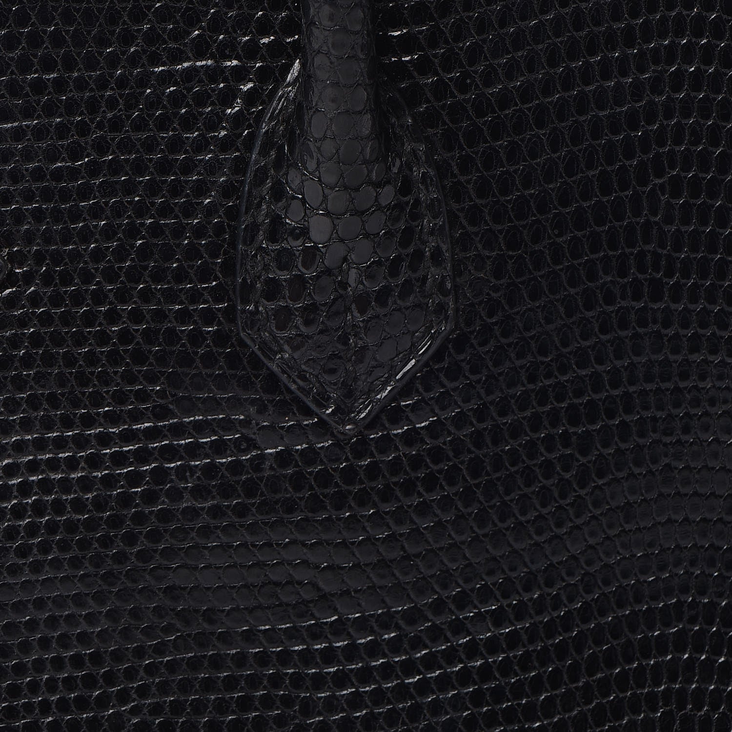 Hermes Lizard Birkin 25 Black 16 of 50