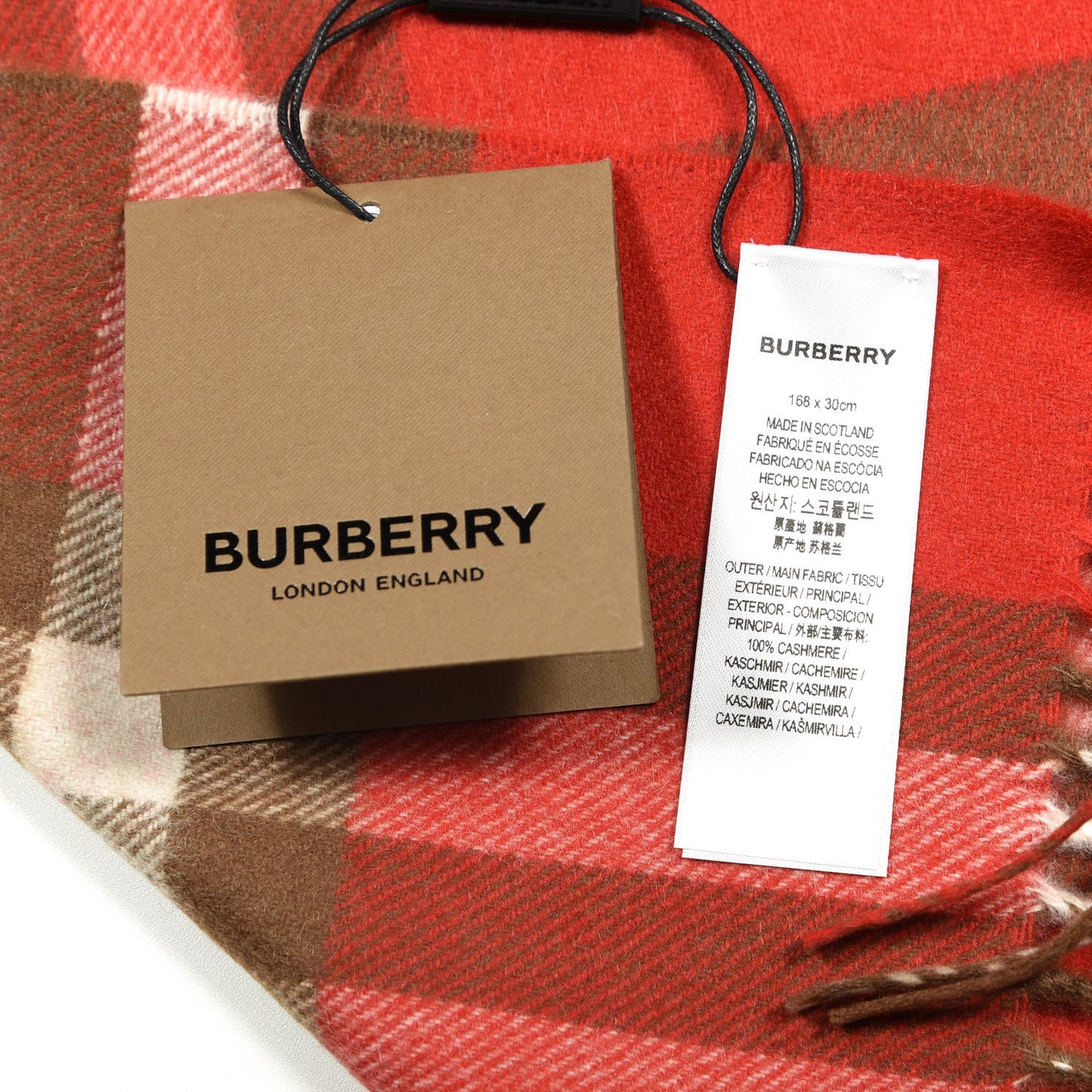 Cashmere Classic Giant Check Fringe Scarf Red