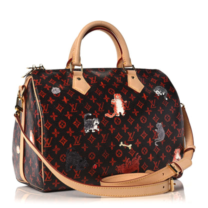 Louis Vuitton Catogram Speedy Bandouliere 30 Marron 3 of 14