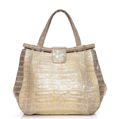 Nancy Gonzalez Crocodile Tote Silver 1 of 12