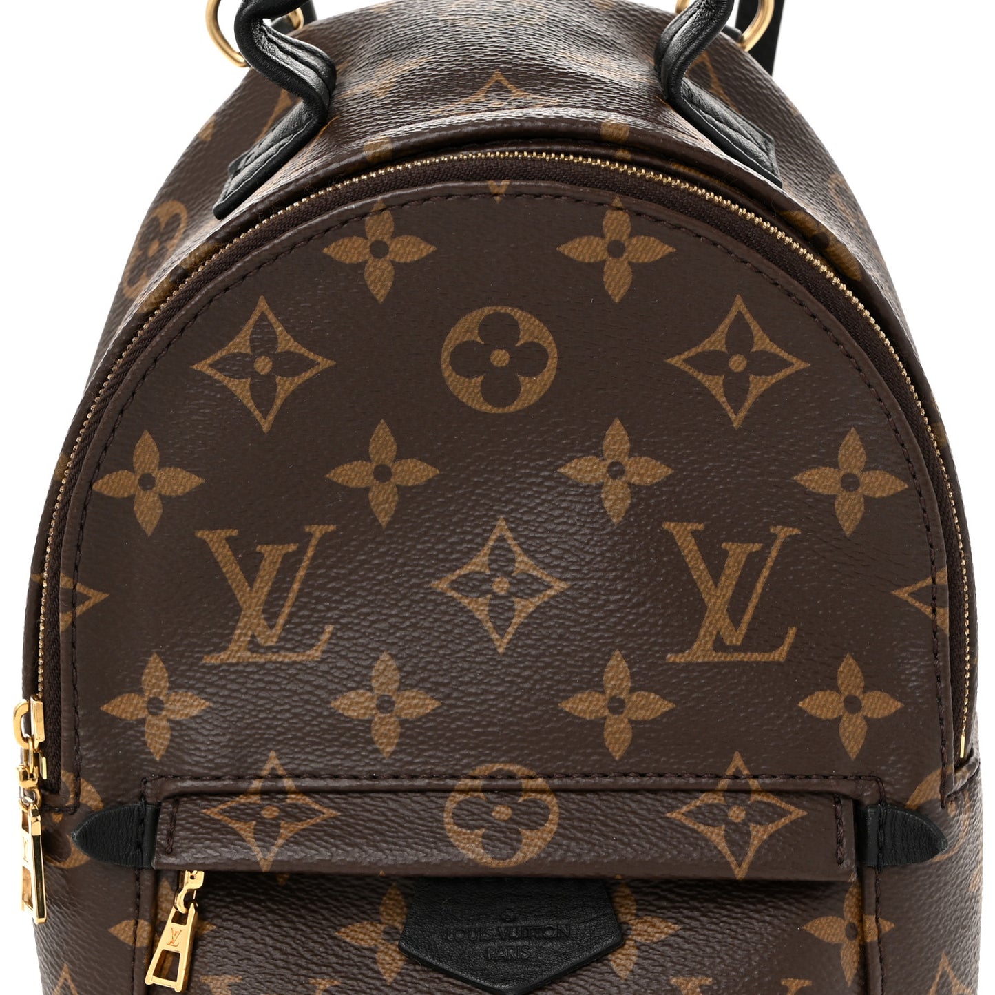 Monogram Palm Springs Backpack Mini