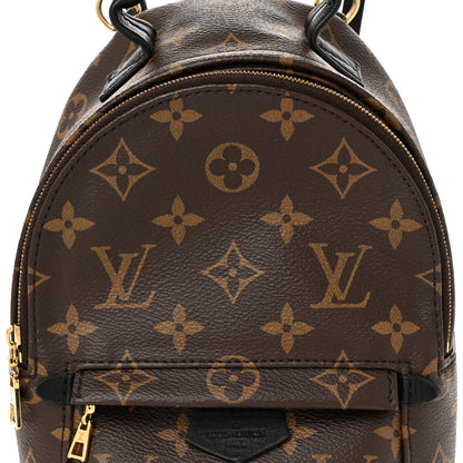 Louis Vuitton Monogram Palm Springs Backpack Mini 7 of 10
