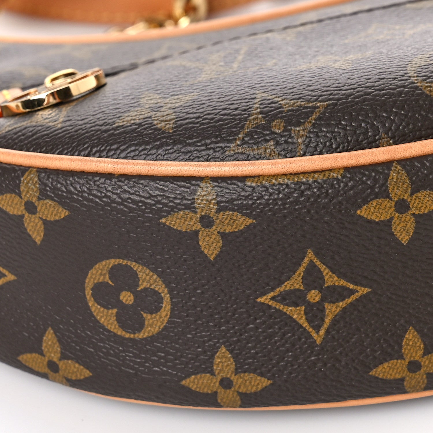Louis Vuitton Monogram Loop 7 of 8