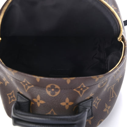 Louis Vuitton Monogram Palm Springs Backpack PM 4 of 4