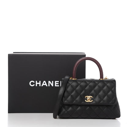Chanel Caviar Lizard Quilted Mini Coco Handle Flap Black 11 of 11
