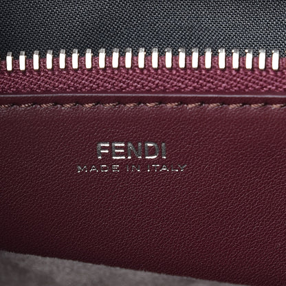 Fendi Vitello Baltico Dolce Elaphe DotCom Satchel Carbone Ramar Multicolor 9 of 11