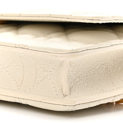 Christian Dior Supple Calfskin Caro Pouch with Chain Latte 10 of 10