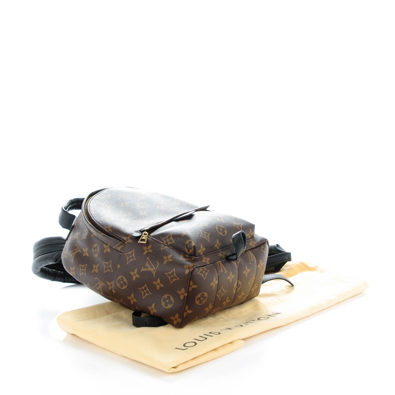 Louis Vuitton Monogram Palm Springs Backpack PM 4 of 9