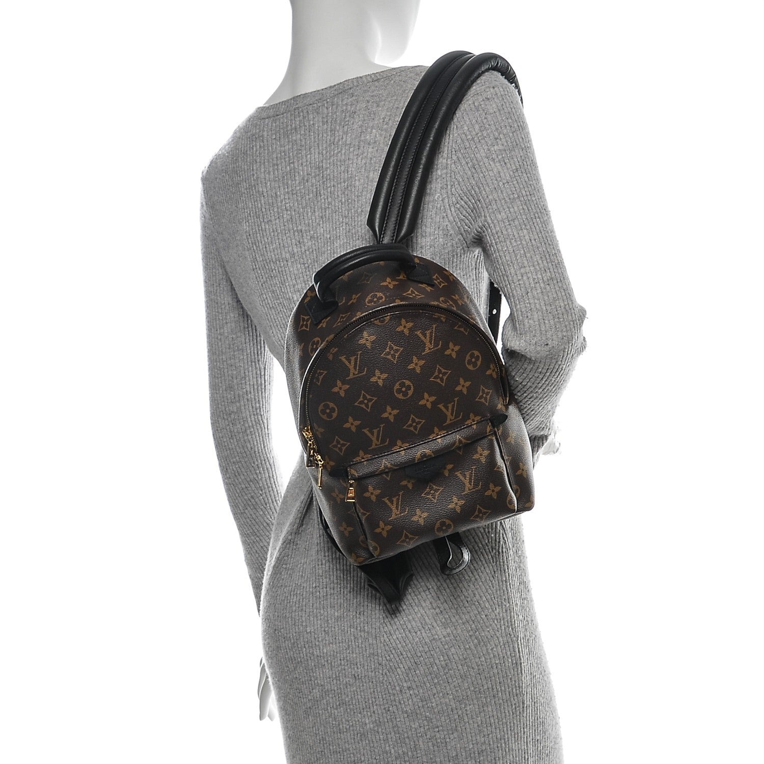 Louis Vuitton Monogram Palm Springs Backpack PM 2 of 7