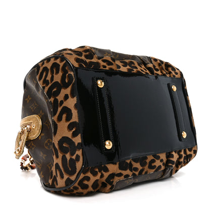 Louis Vuitton Monogram Leopard Stephen Bag 4 of 9
