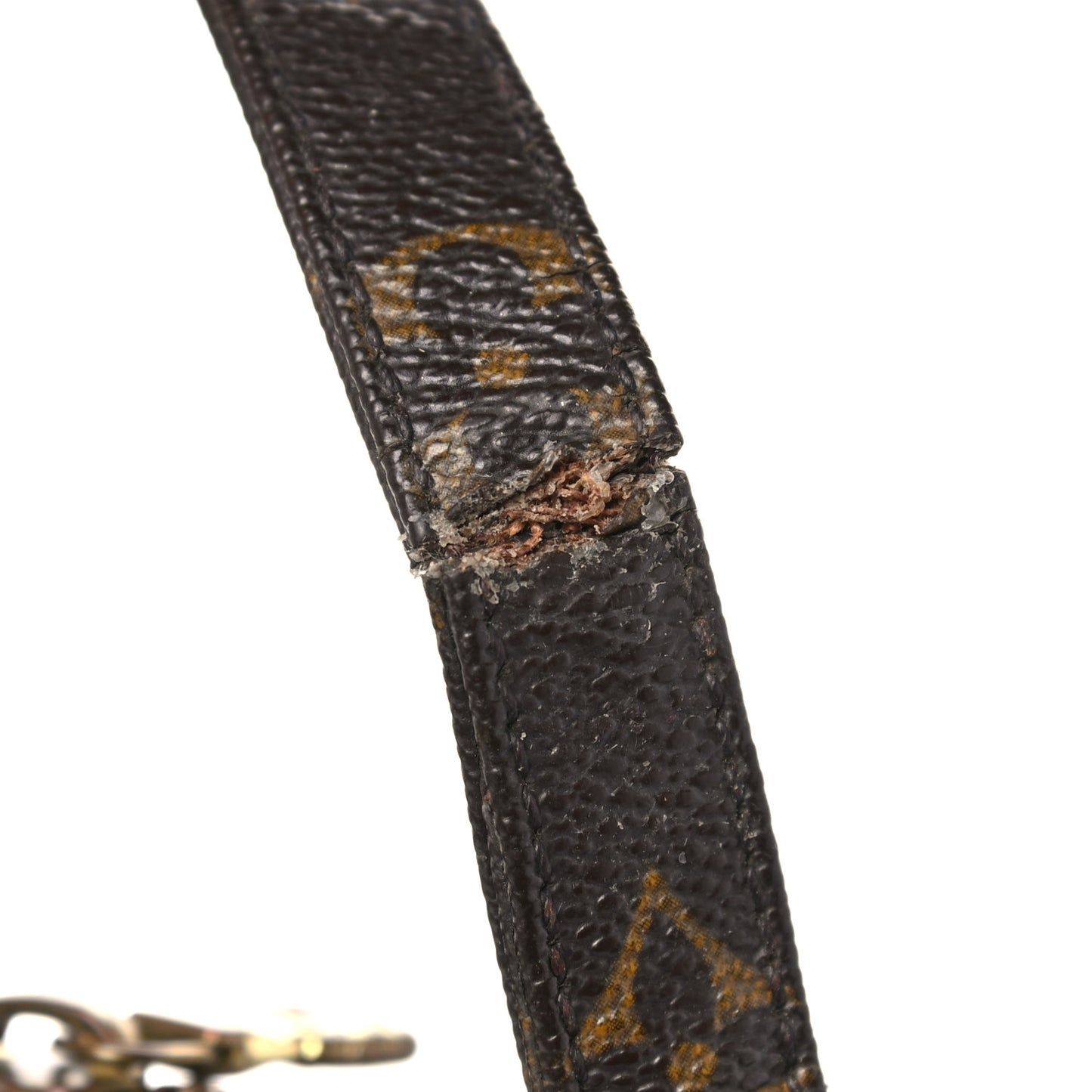 Monogram Amazone