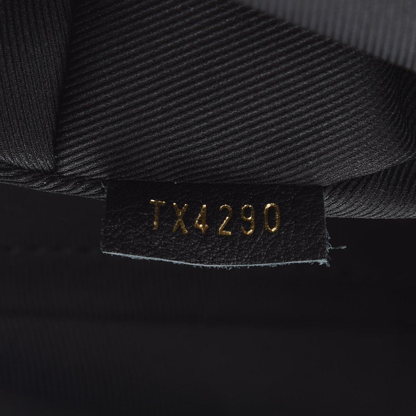 Monogram Palm Springs Backpack Mini