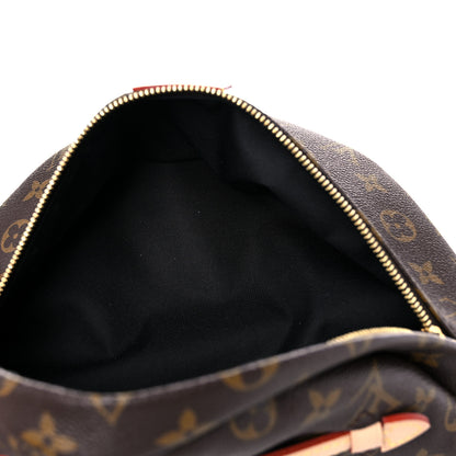 Louis Vuitton Monogram Bumbag 5 of 11