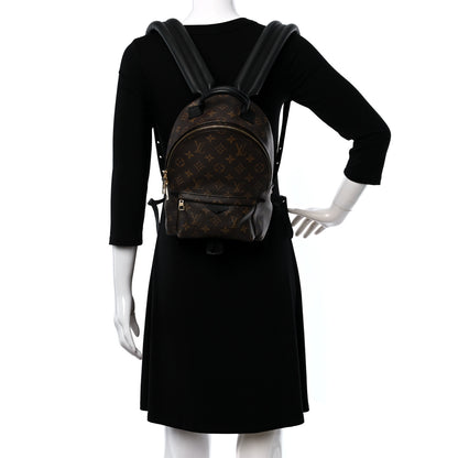 Louis Vuitton Monogram Palm Springs Backpack PM 2 of 8