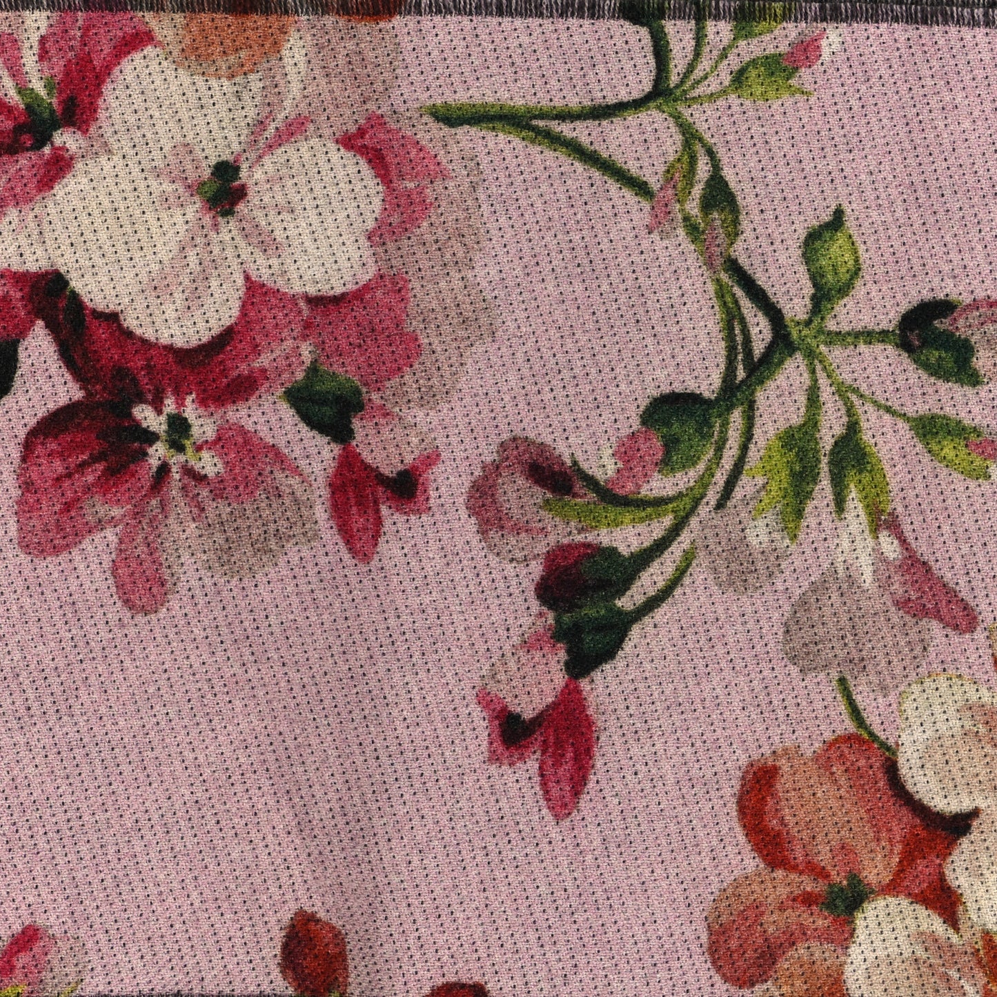 Wool GG Monogram Miniorophin Scarf Shell Pink
