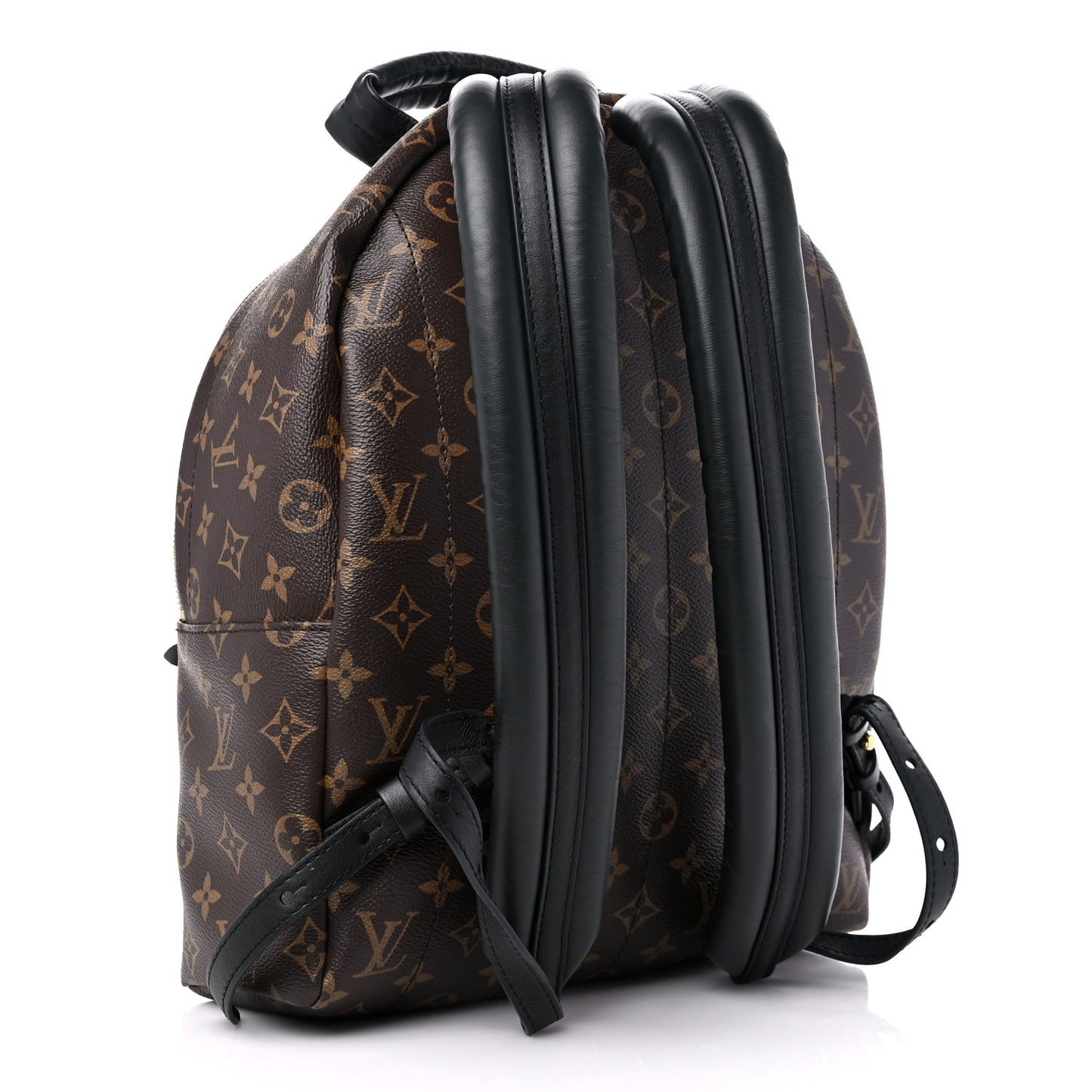 Monogram Palm Springs Backpack MM