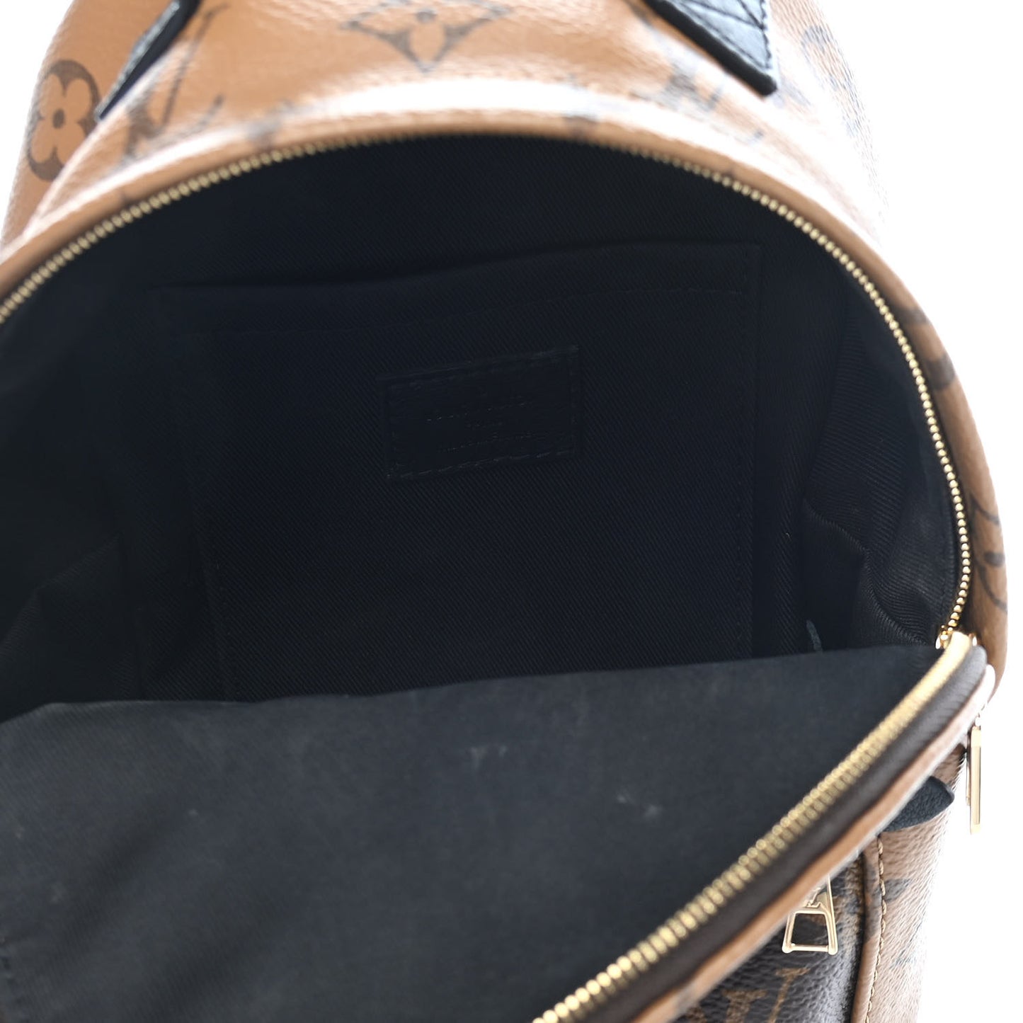 Reverse Monogram Palm Springs Backpack Mini