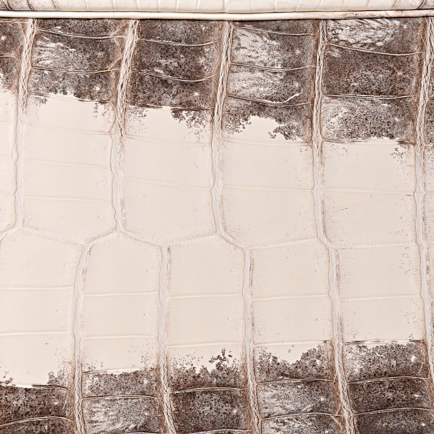 Matte Niloticus Crocodile Himalaya Birkin 30 Blanc