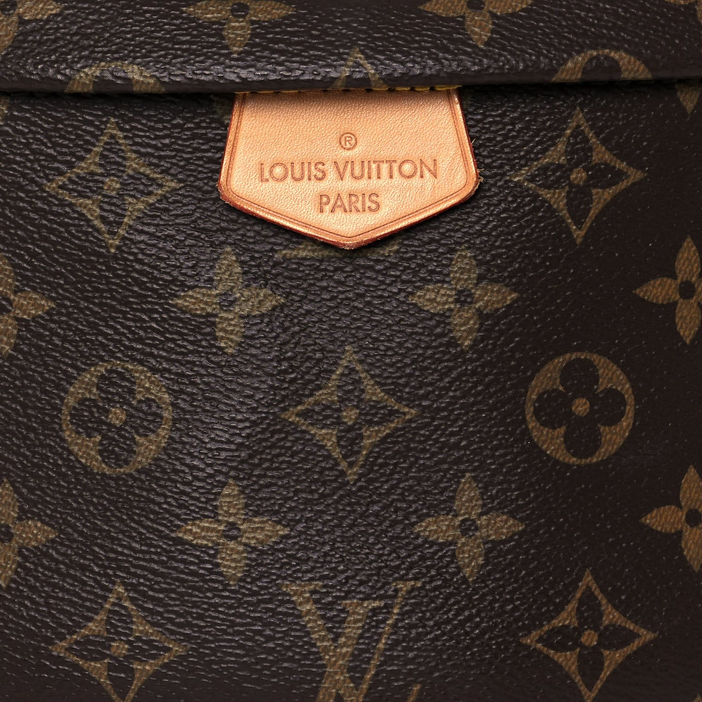 Monogram Bumbag