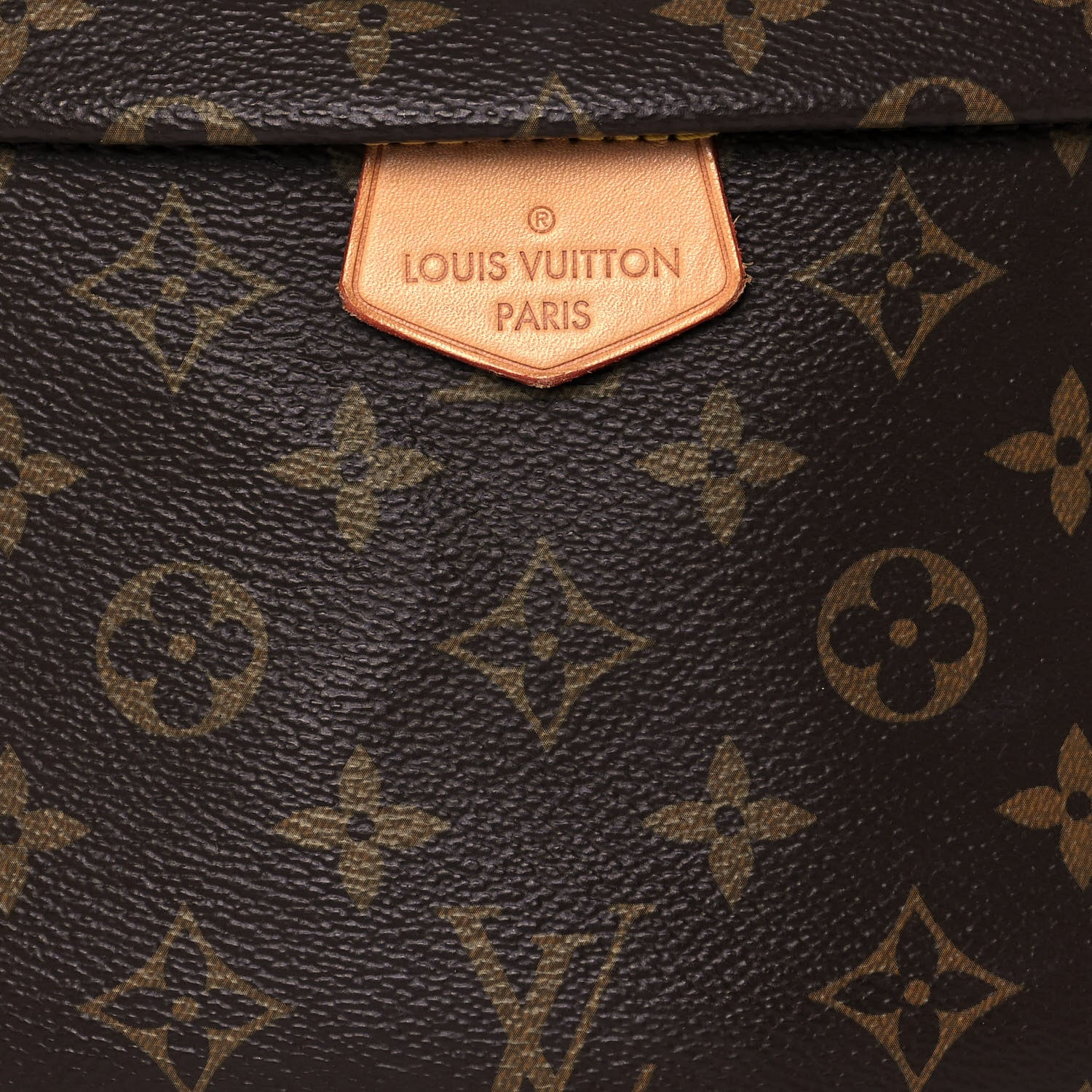 Louis Vuitton Monogram Bumbag 7 of 12