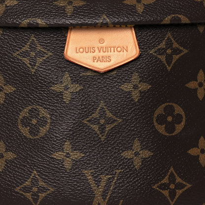 Louis Vuitton Monogram Bumbag 7 of 12