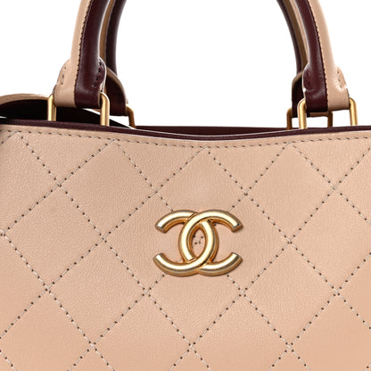 Chanel Bullskin Stitched Bi-Color Large Shopping Tote Beige Burgundy 8 of 10