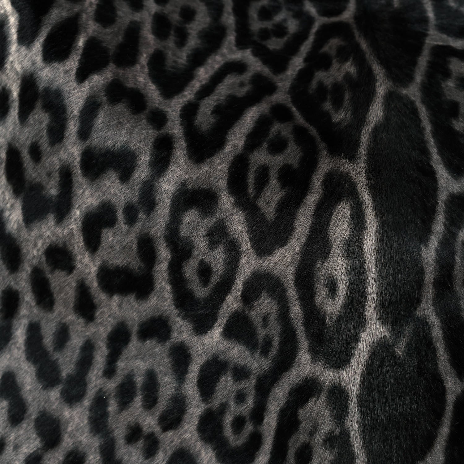 Saint Laurent Calf Hair Stingray Leopard Print Large Roady Hobo Black 5 of 10