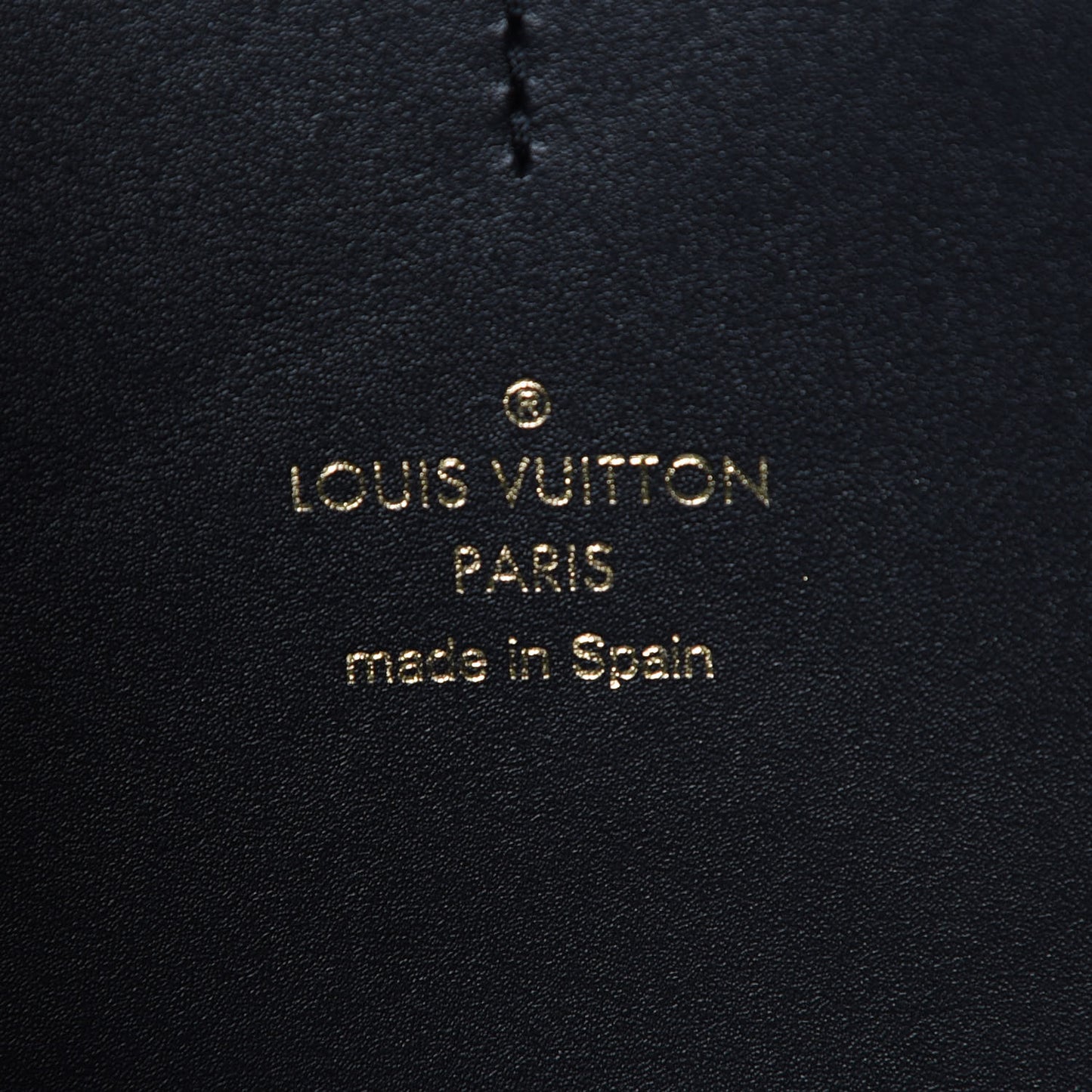 Reverse Monogram Dauphine Bumbag
