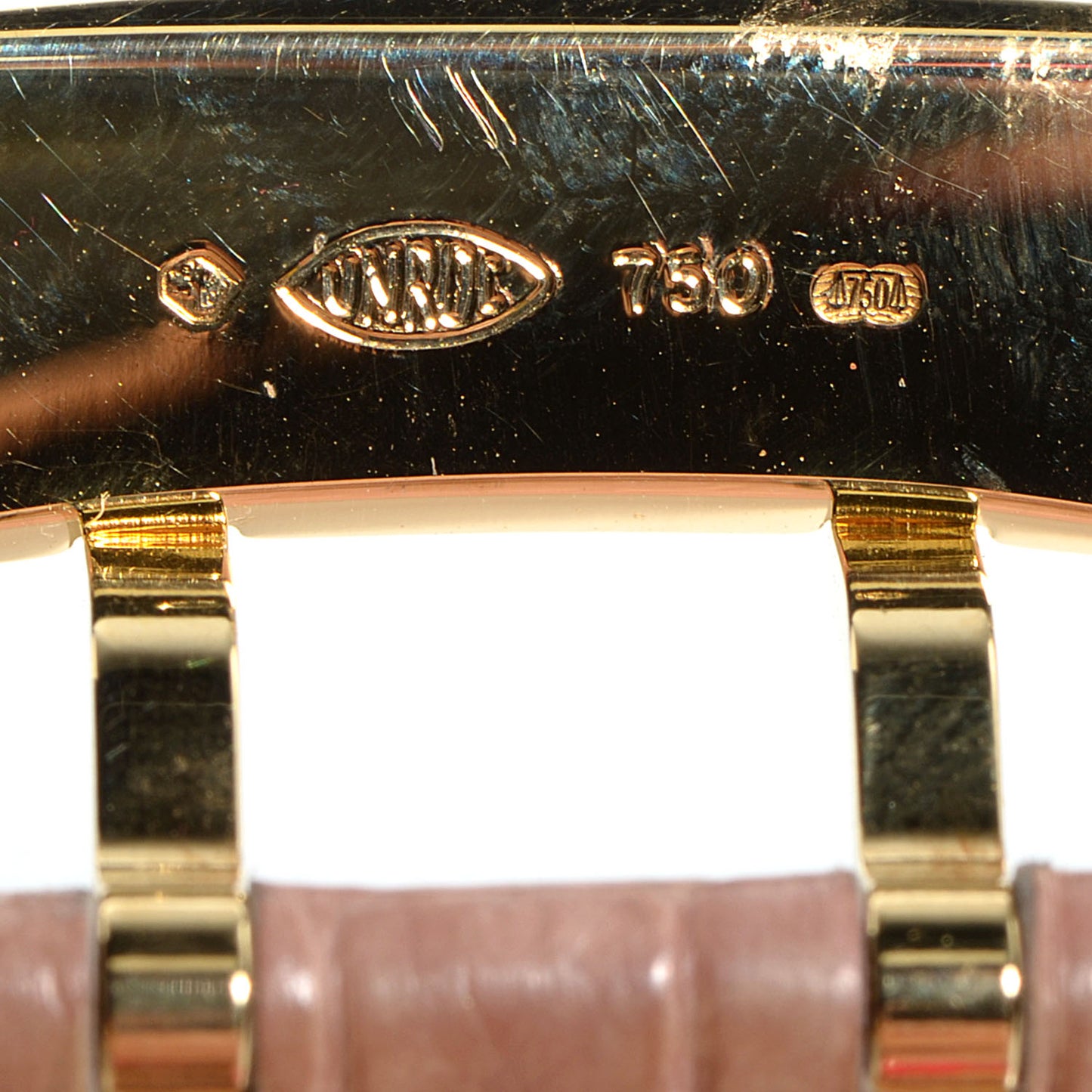 Stainless Steel Alligator 28mm Tambour Murakami Quartz Watch