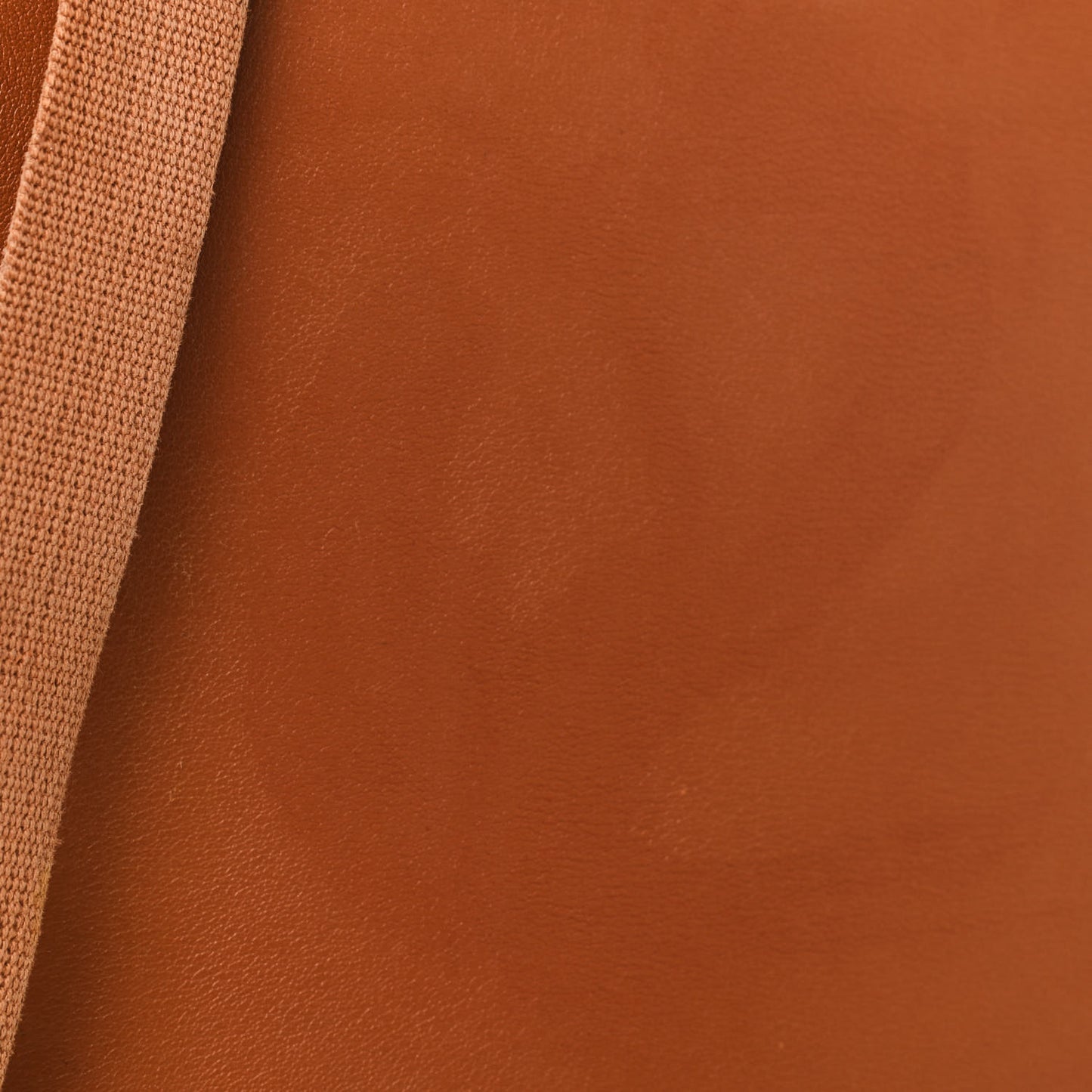 Swift Sherpa Backpack Gold