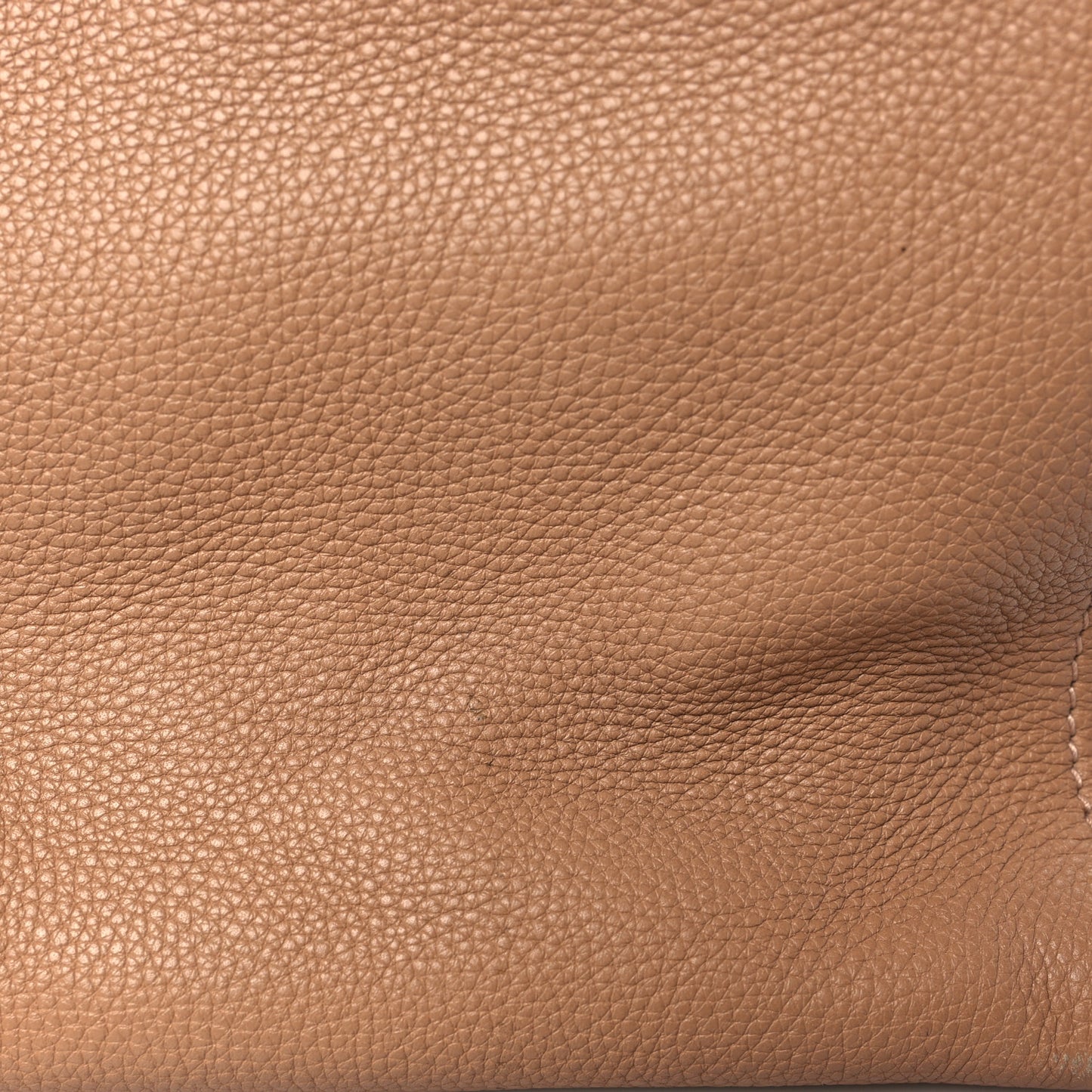 Calfskin Medium Bamboo Daily Shopper Camelia