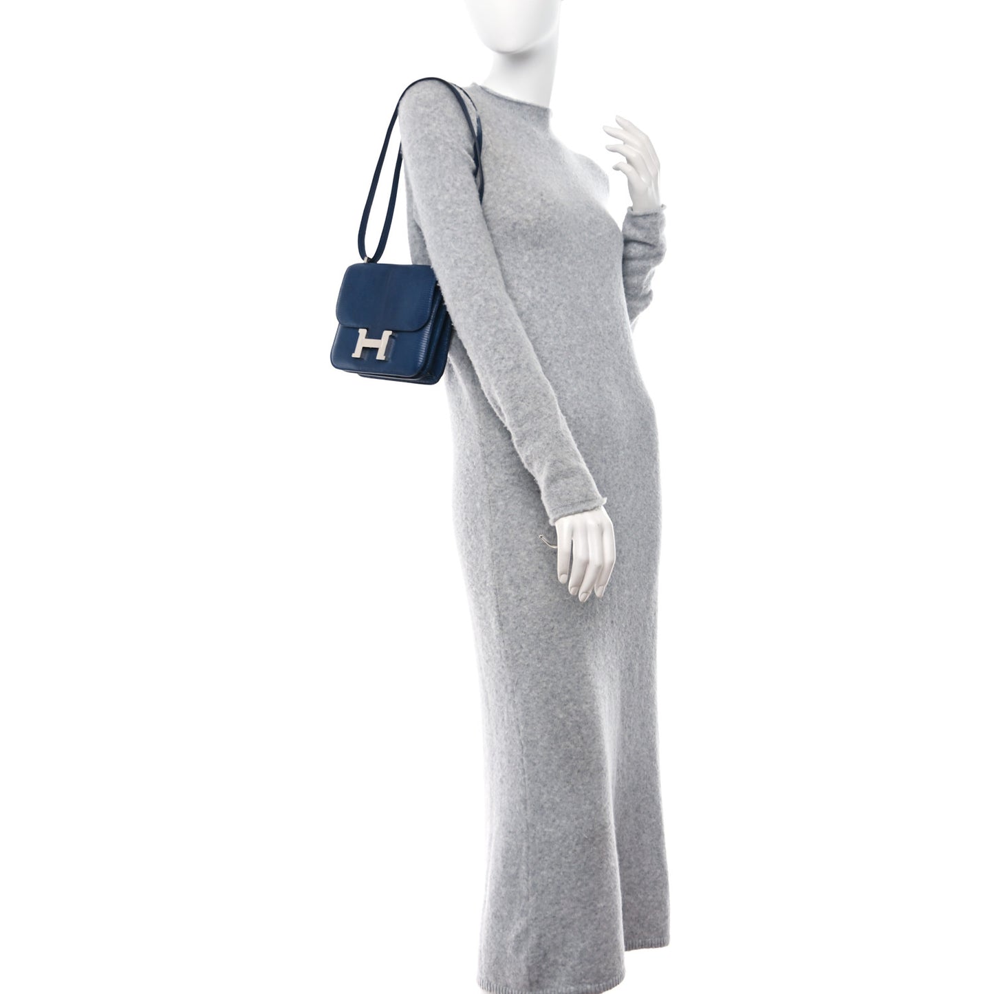 Niloticus Lizard Aizome Constance 18 Tomekon