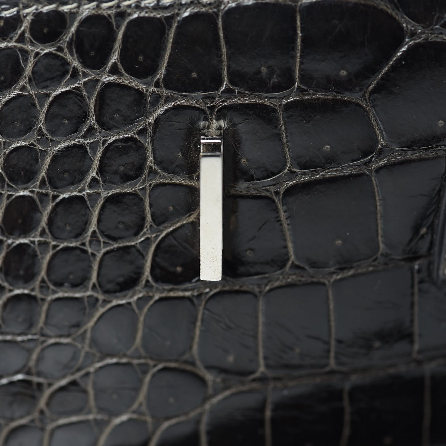 Shiny Porosus Crocodile Birkin 40 Graphite