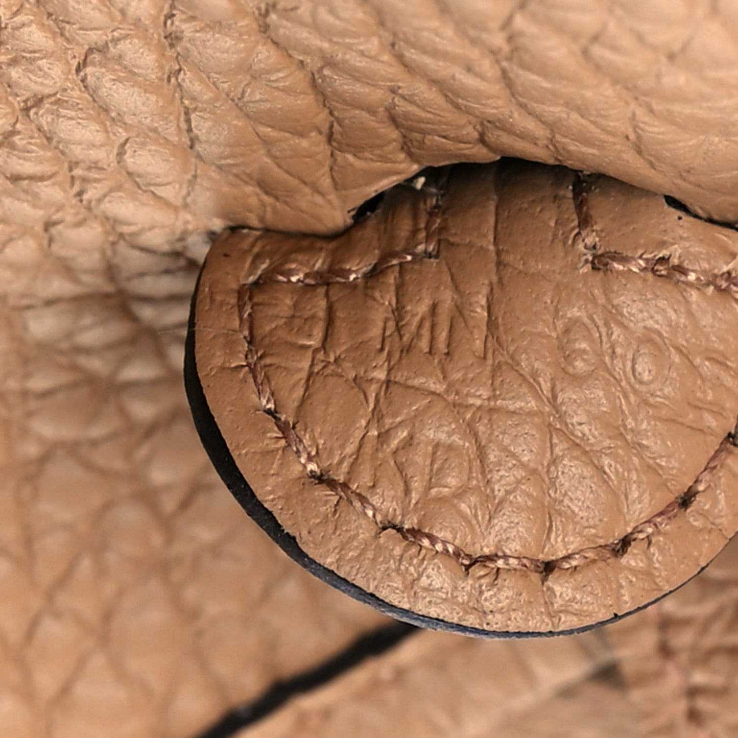 Taurillon Clemence Evelyne TPM Biscuit