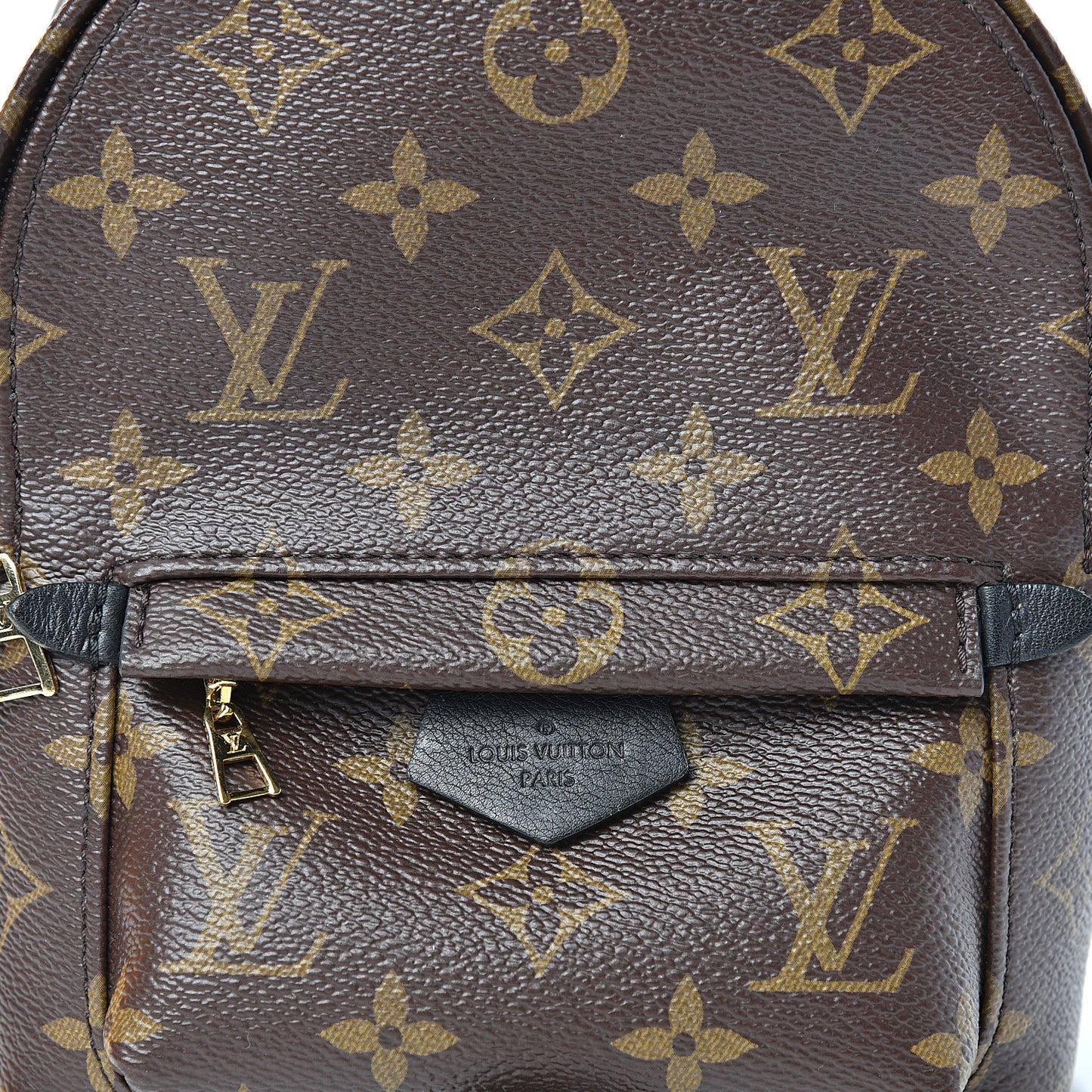 Monogram Palm Springs Backpack Mini