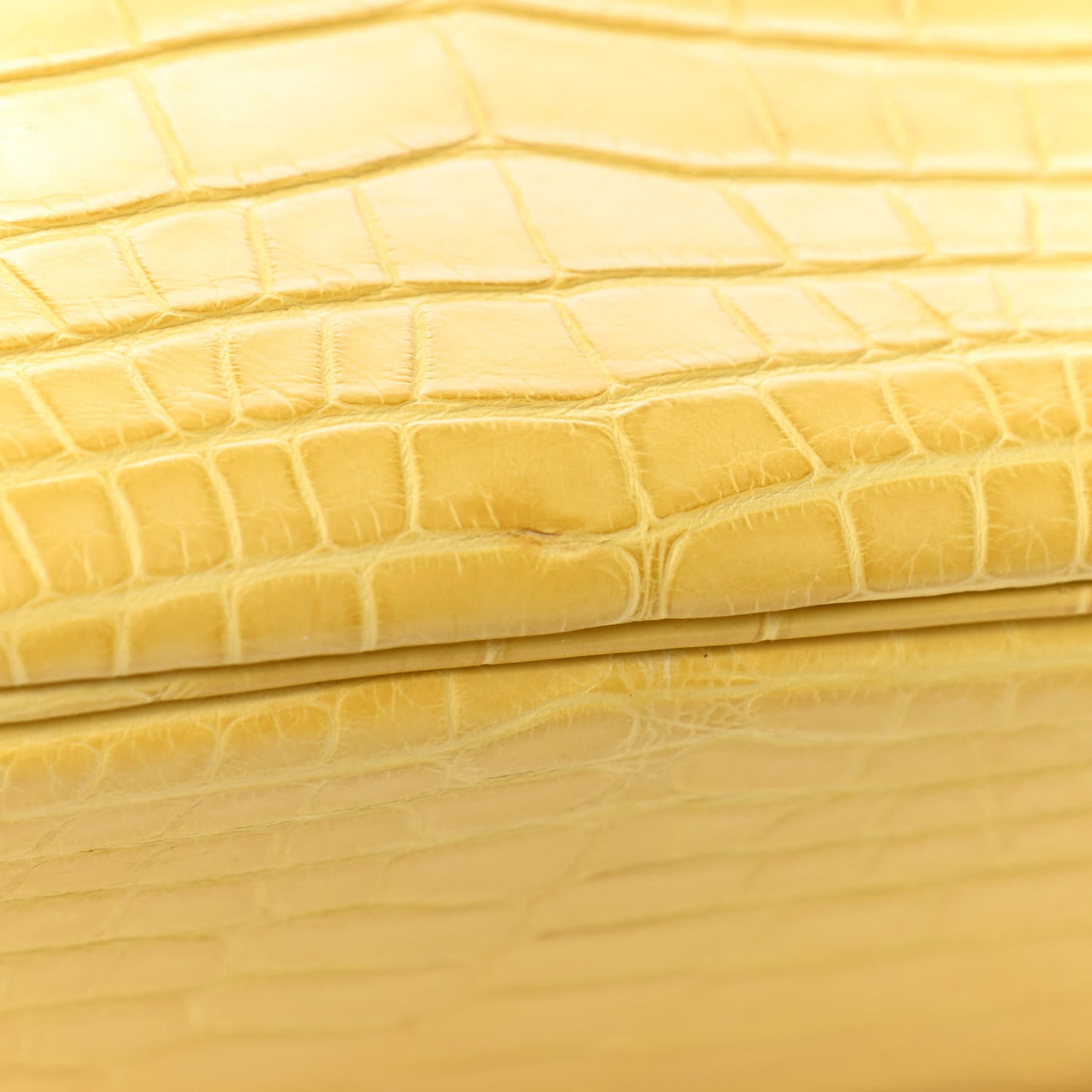 Matte Alligator Birkin 30 Mimosa