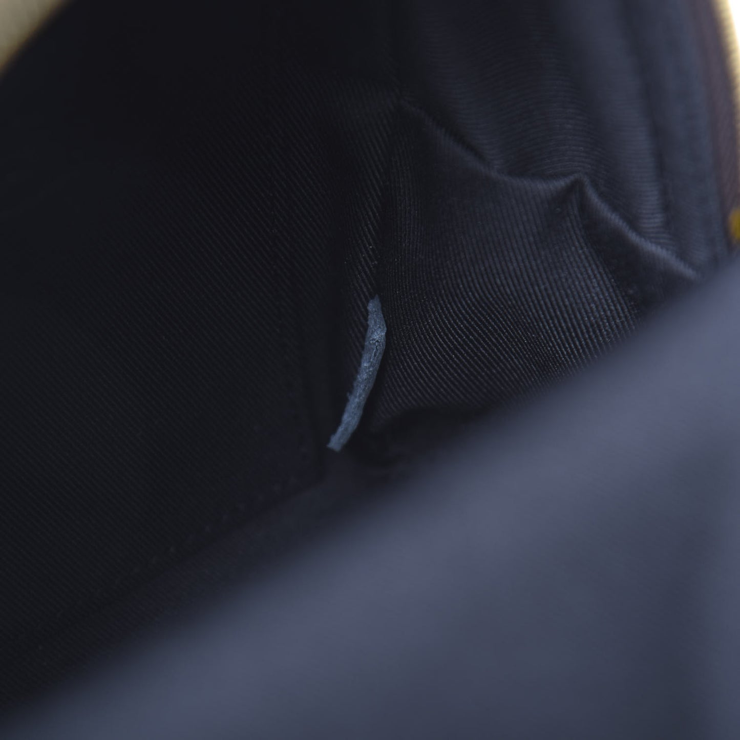 Monogram Palm Springs Backpack Mini