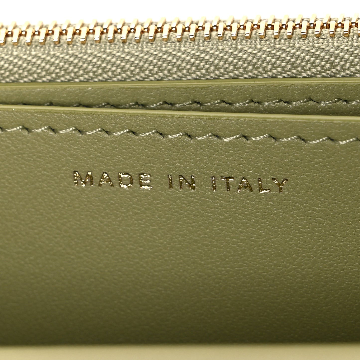 Shiny Lizard Wallet on Chain WOC Green