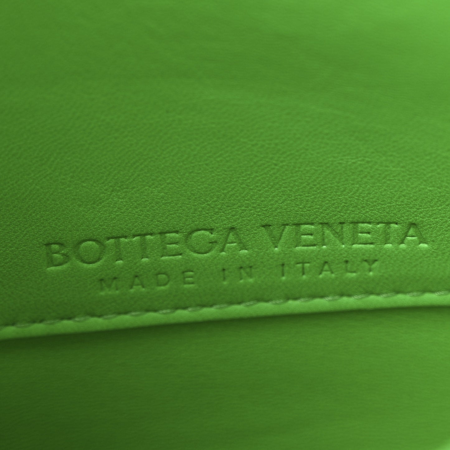 Calfskin Mount Envelope Bag Parakeet