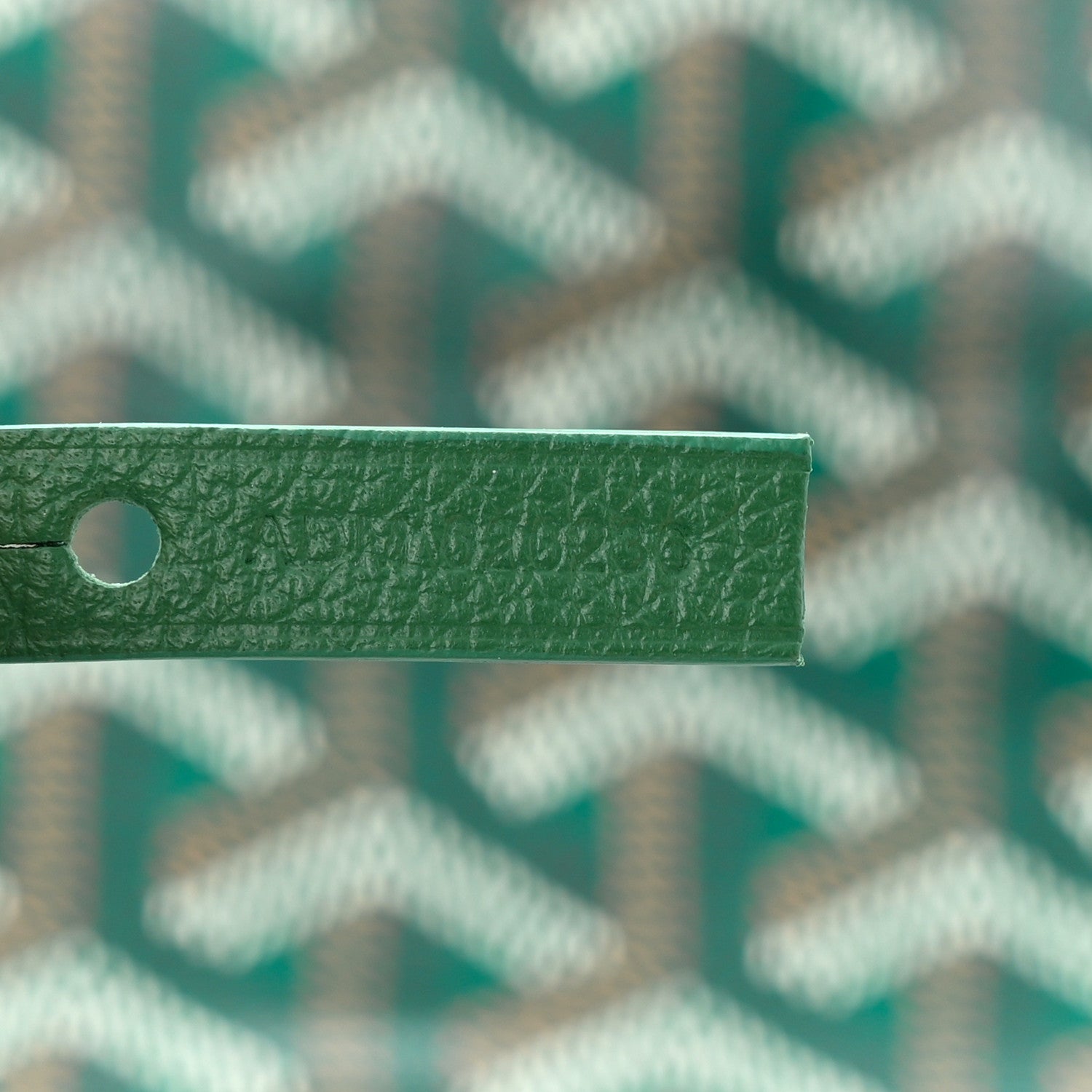 Goyard Goyardine Saint Louis PM Green 7 of 10