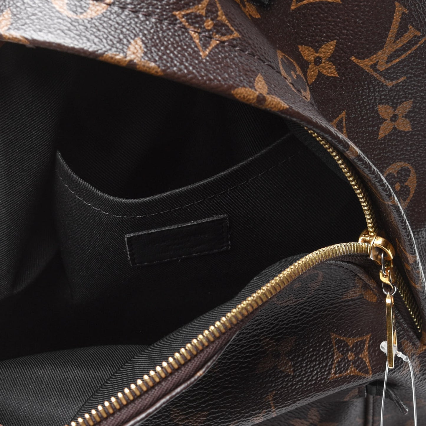Monogram Palm Springs Backpack PM