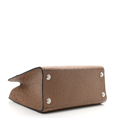 Louis Vuitton Ostrich City Steamer PM Gris 3 of 8