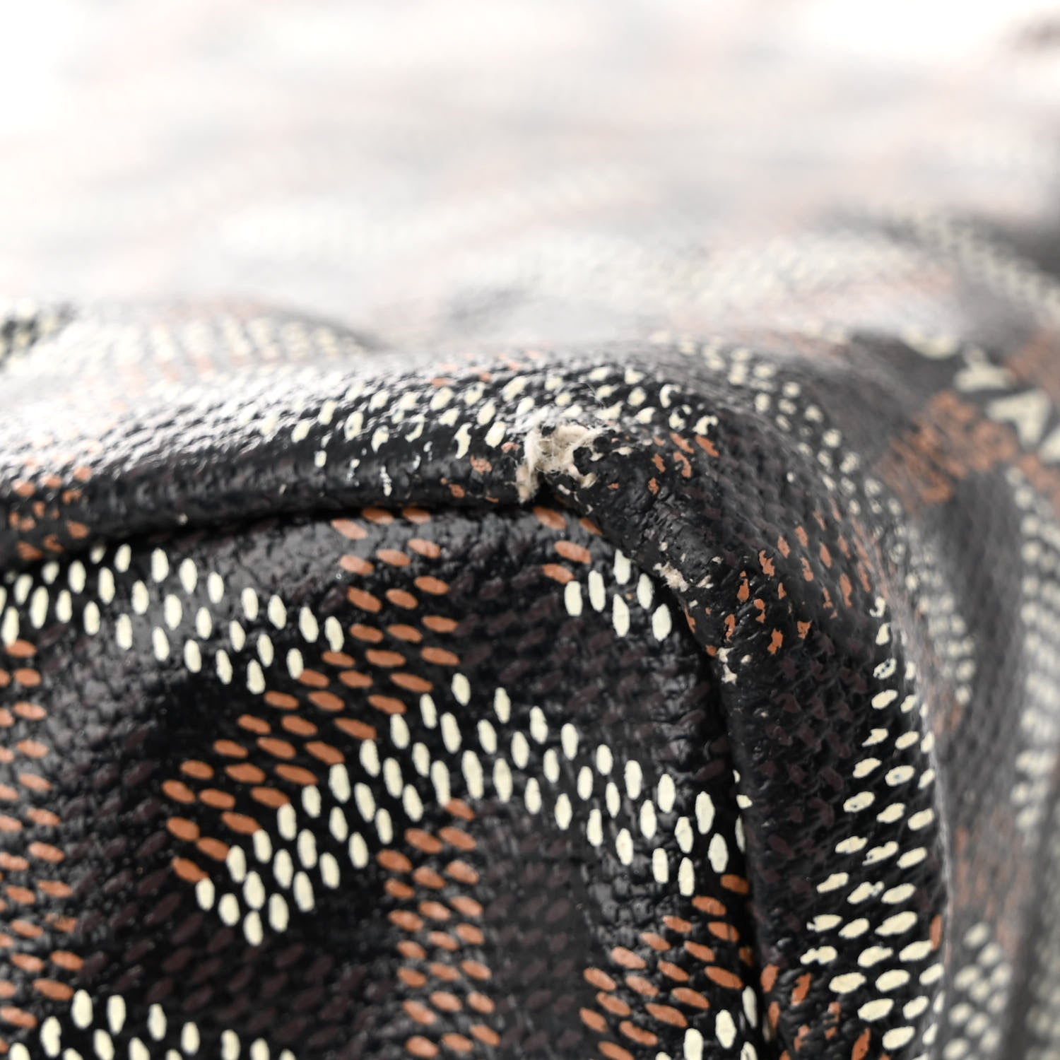 Goyard Goyardine Saint Louis PM Black 10 of 12
