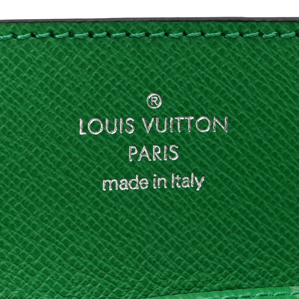 Louis Vuitton Taigarama Card Holder Necklace Cactus Cactus Green 6 of 7