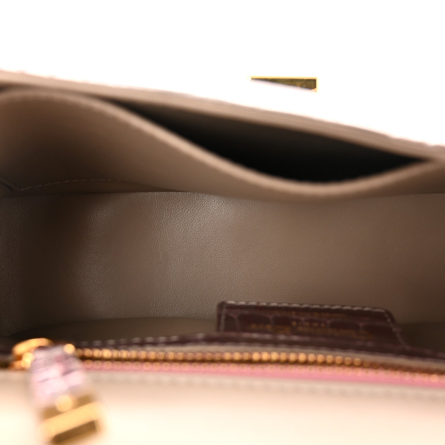 Christian Dior Metallic Alligator Small Caro Bag Multicolor 5 of 11