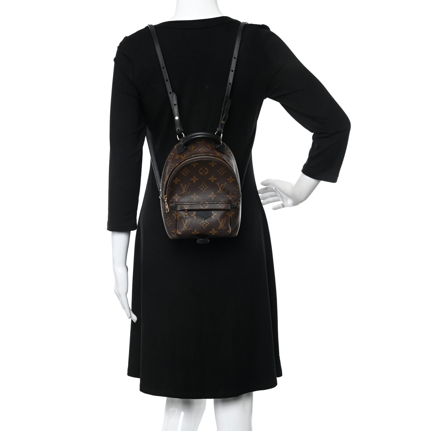 Monogram Palm Springs Backpack Mini