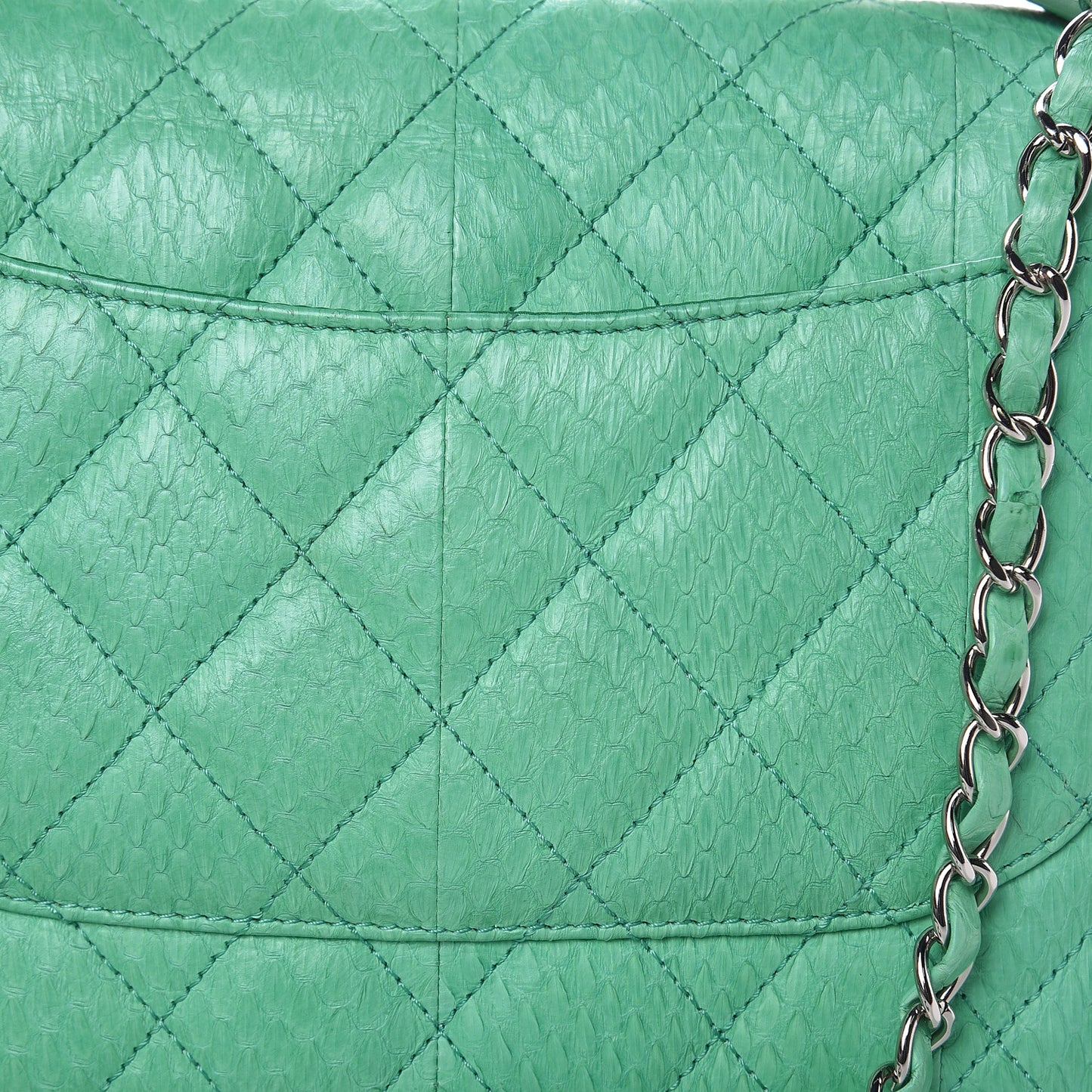 Elaphe Snakeskin Medium Easy Carry Flap Green