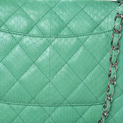 Chanel Elaphe Snakeskin Medium Easy Carry Flap Green 10 of 12