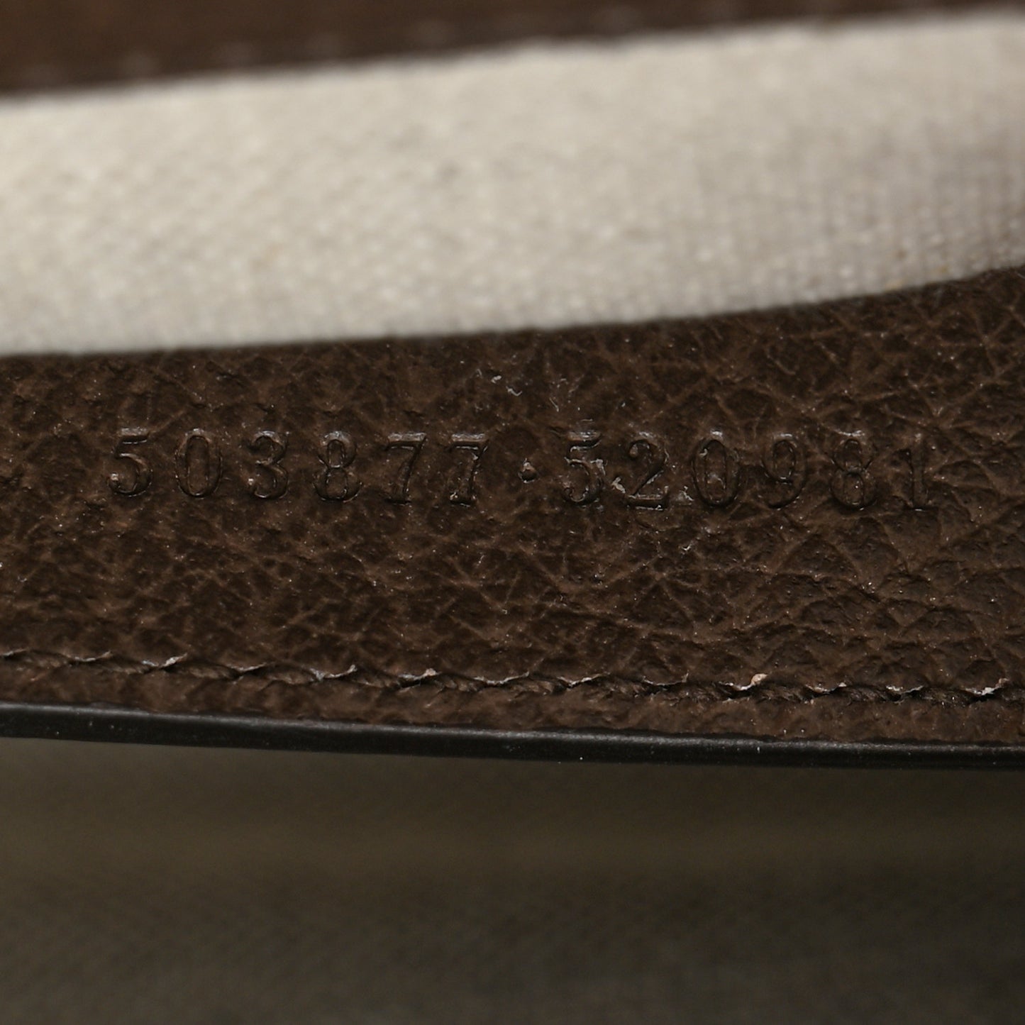 Monogram Jumbo GG Textured Dollar Calfskin Web Small Ophidia Chain Shoulder Bag Camel Ebony New Acero