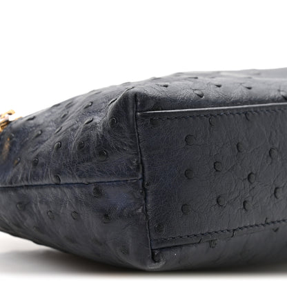 Loro Piana Ostrich L19 Extra Pocket Pouch Blue Navy 9 of 10